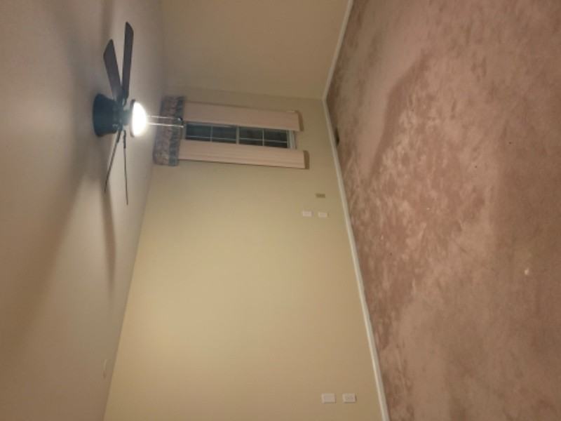 65 Windsor Mews - Photo 6 of 9