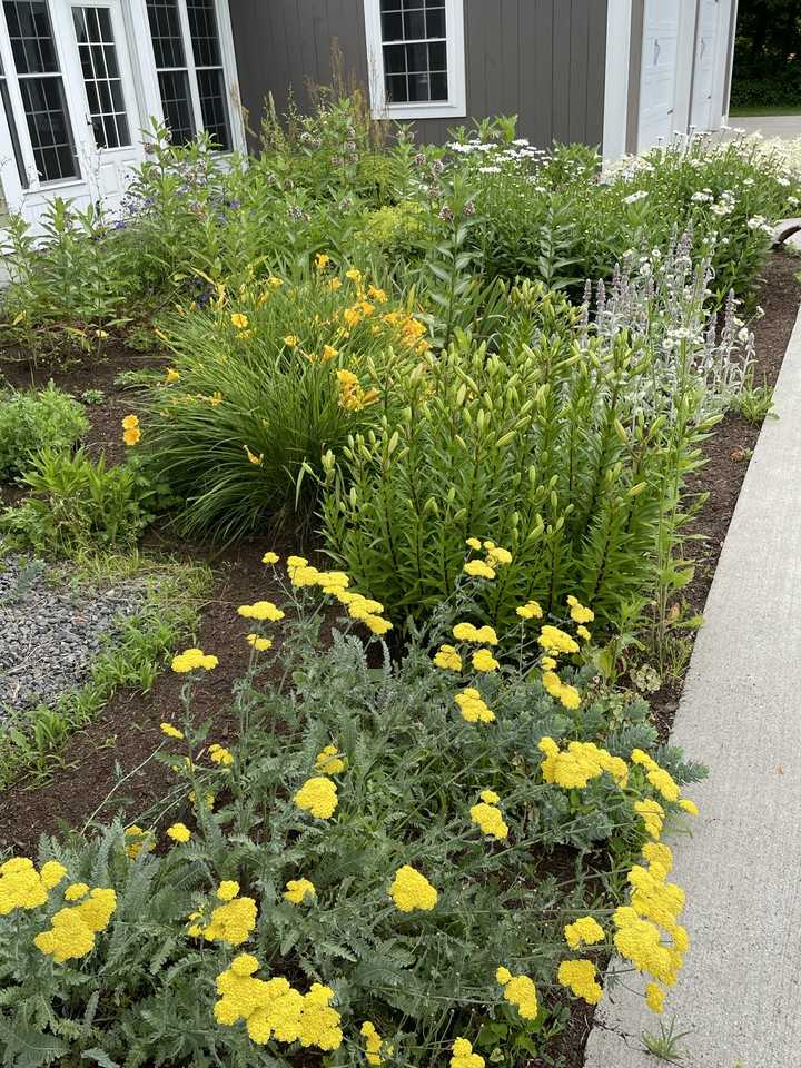 47 Lower Cemetery Rd - Photo 2 of 16