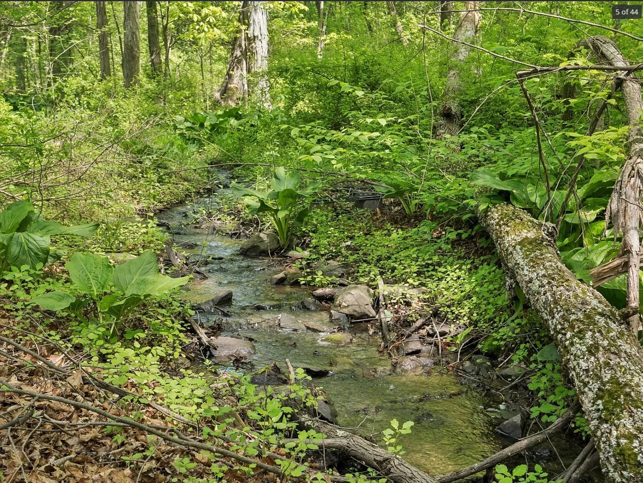 26 Woodland Cir #FULL - Photo 2 of 20