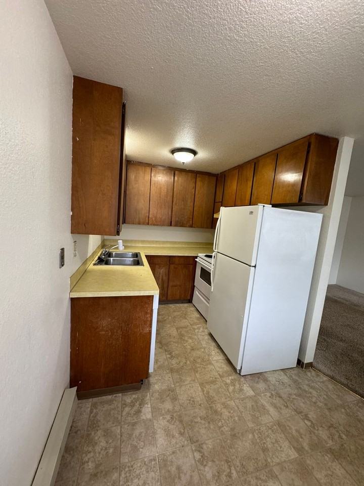 WILD3032 - Photo 3 of 6