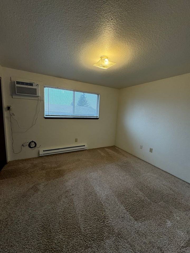 WILD3032 - Photo 4 of 6