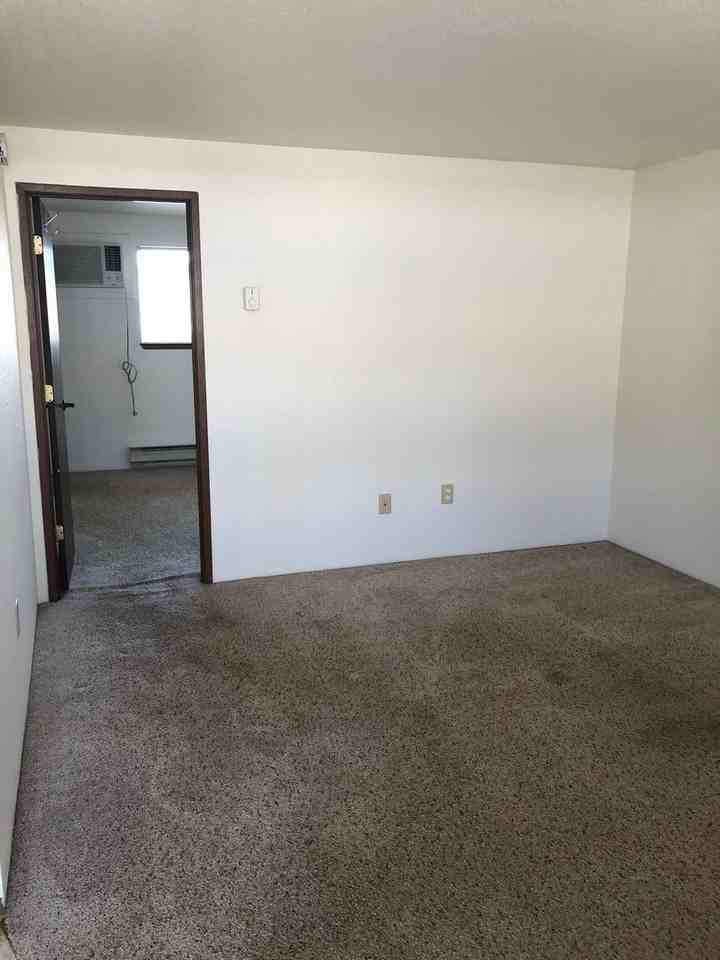 WILD3032 - Photo 5 of 6