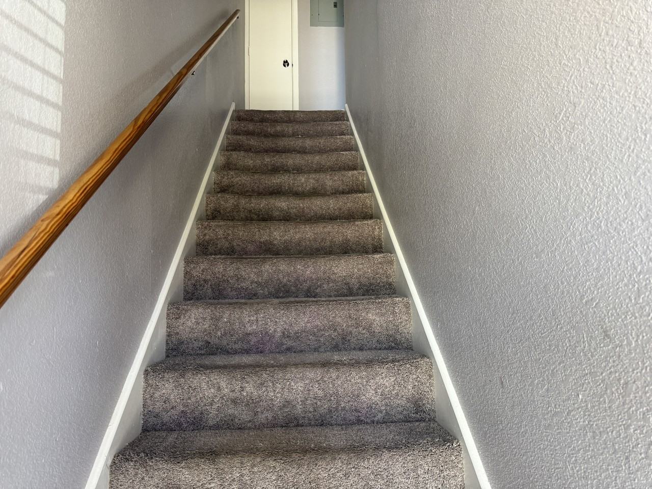 2825 Cedar Circle - Photo 7 of 20