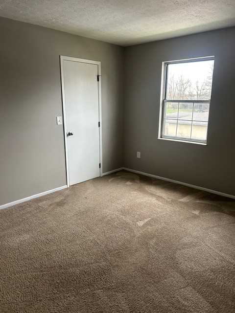 4799 Jeannette Rd #4799 - Photo 5 of 16