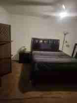 Petrified Tree Ln - Photo 1 of 1