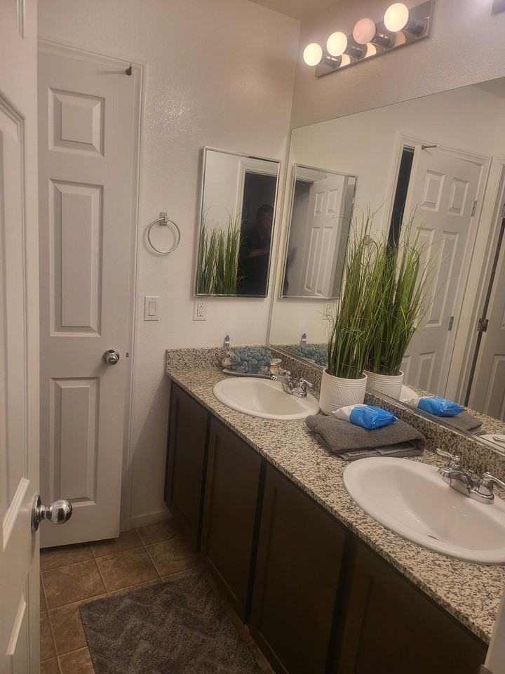 Petrified Tree Ln - Photo 2 of 4