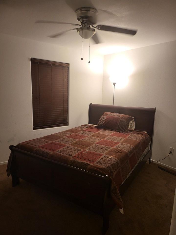 Petrified Tree Ln - Photo 4 of 4