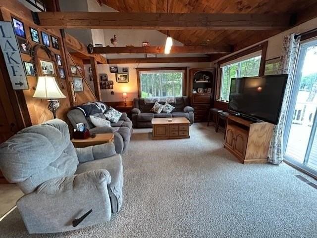 442 Jobs Creek Rd - Photo 7 of 17