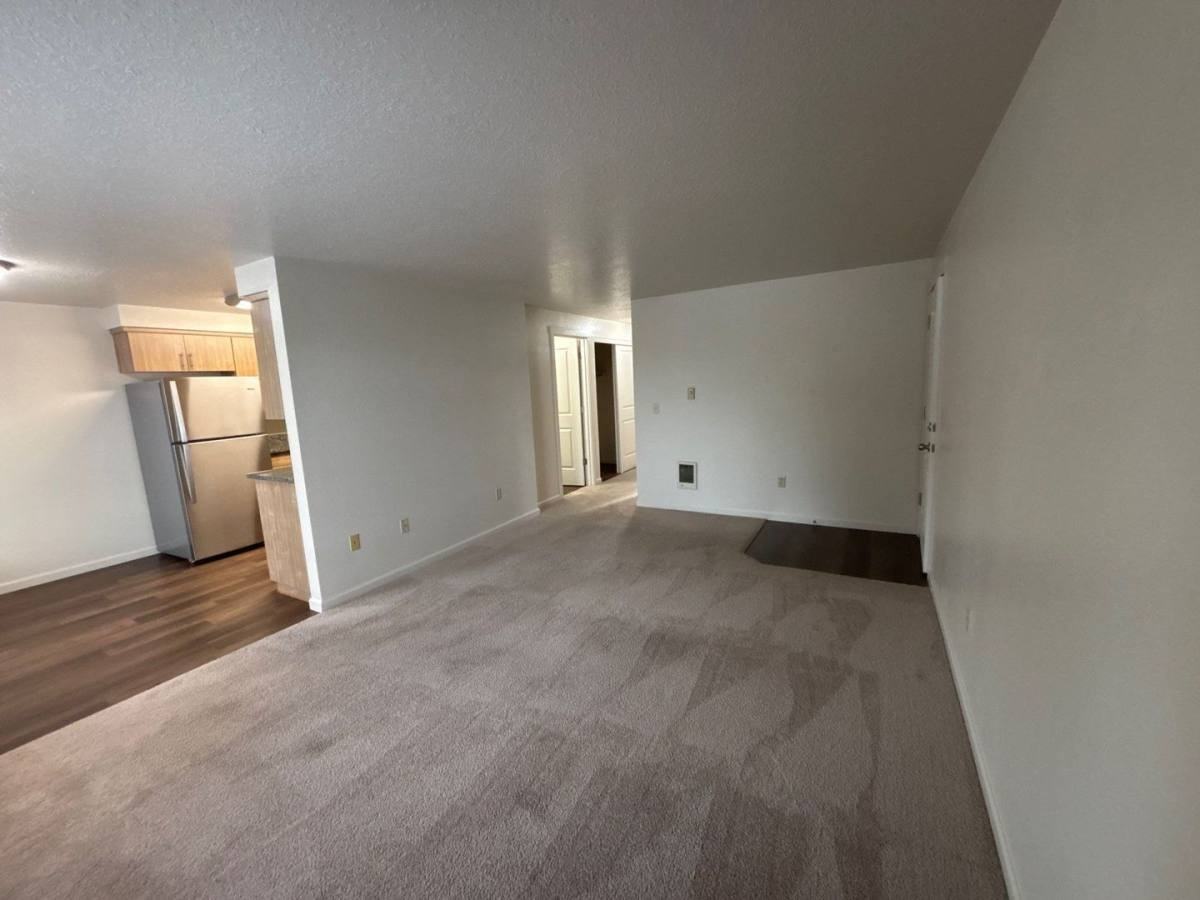 907 Bryan Ct - Photo 3 of 10