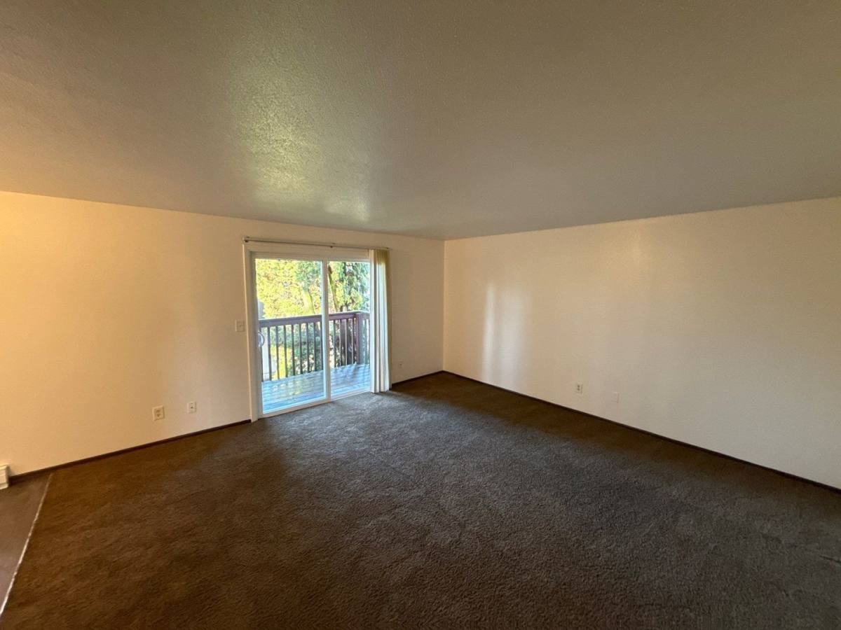 3822 Iberis St Ne - Photo 3 of 10
