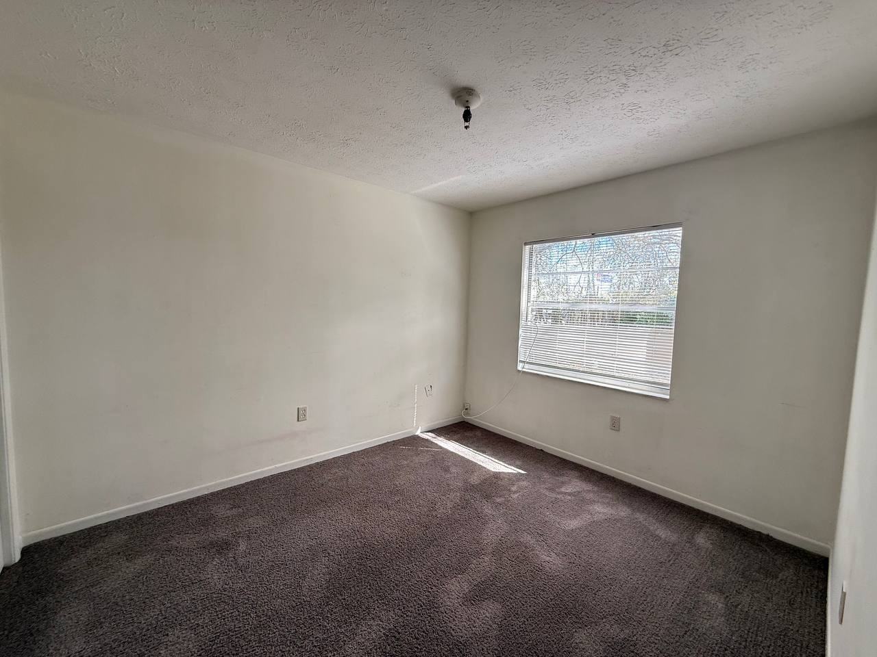 8505 N Tampa St #B - Photo 7 of 9