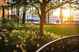 70 Battery Pl #909 - Photo 1 of 1