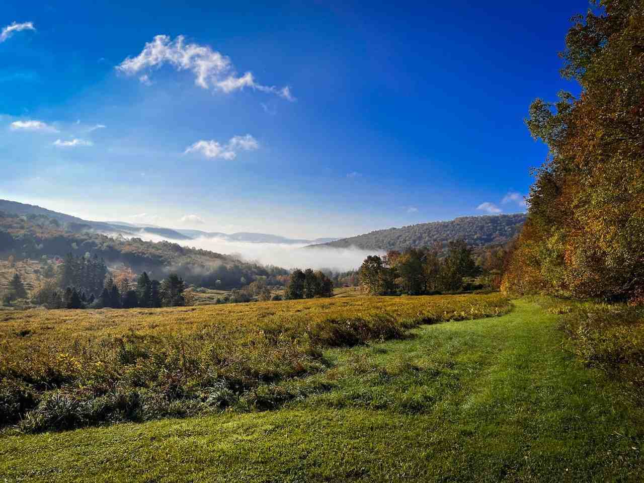 2697 Chambers Hollow Rd #1492981P - Photo 2 of 46