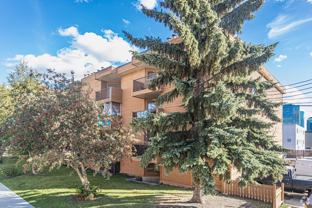 Royal Lady - Photo 1 of 1