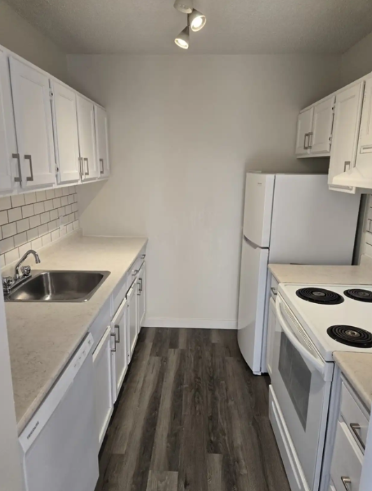 Royal Lady - Photo 3 of 4