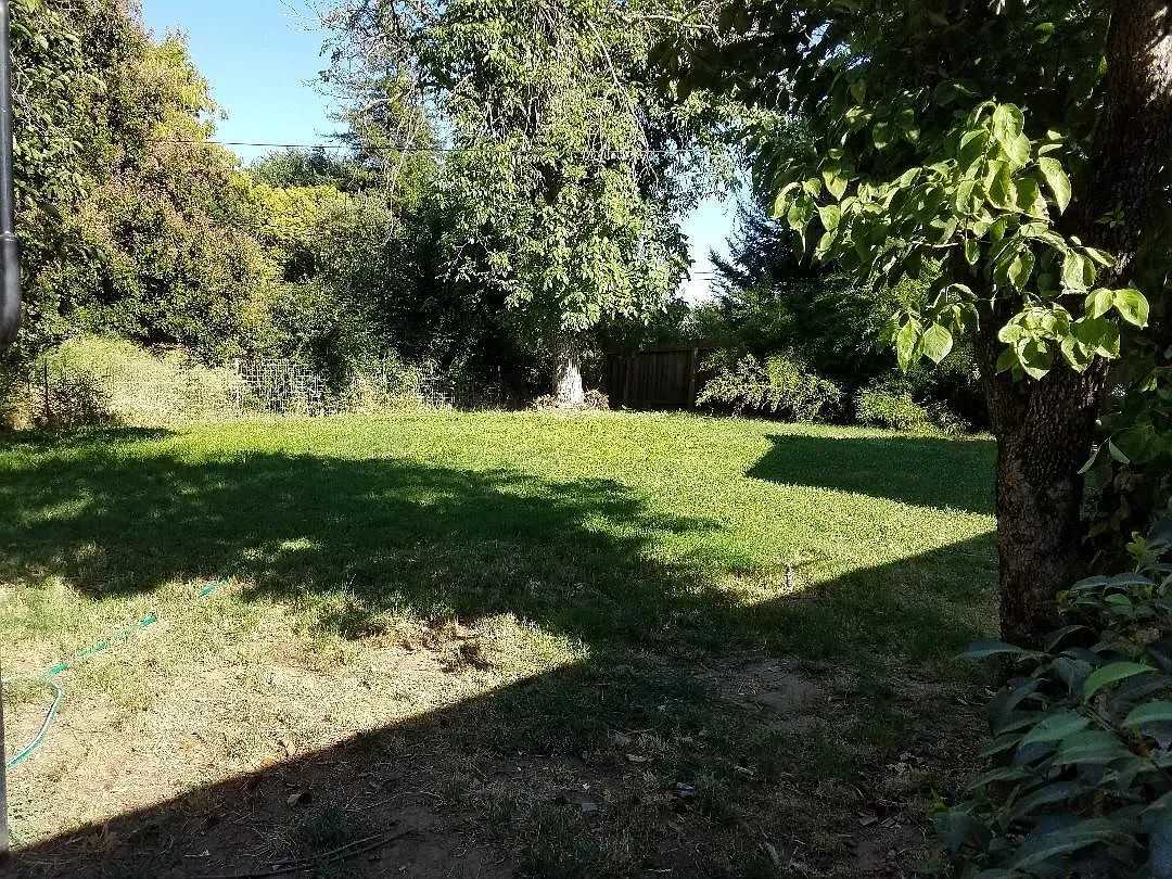 220 Sherman Dr - Photo 3 of 19