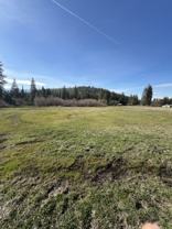 1524 Alves Dr - Photo 1 of 1