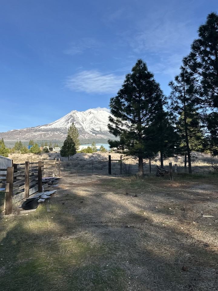 1524 Alves Dr - Photo 2 of 2