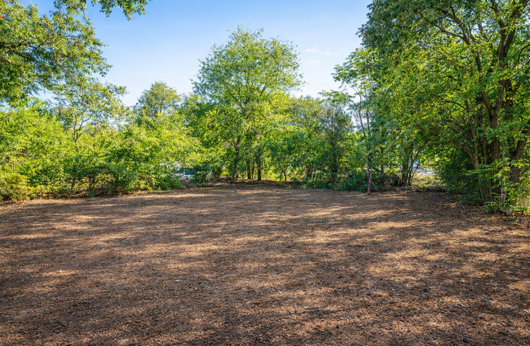 2242 Burnet St - Photo 7 of 19