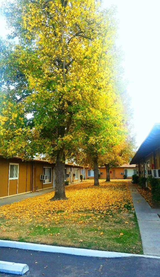 2601 Fremont St #40 - Photo 2 of 17