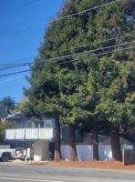 featured image of 224 Center Ave #B