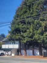 224 Center Ave #B - Photo 1 of 1