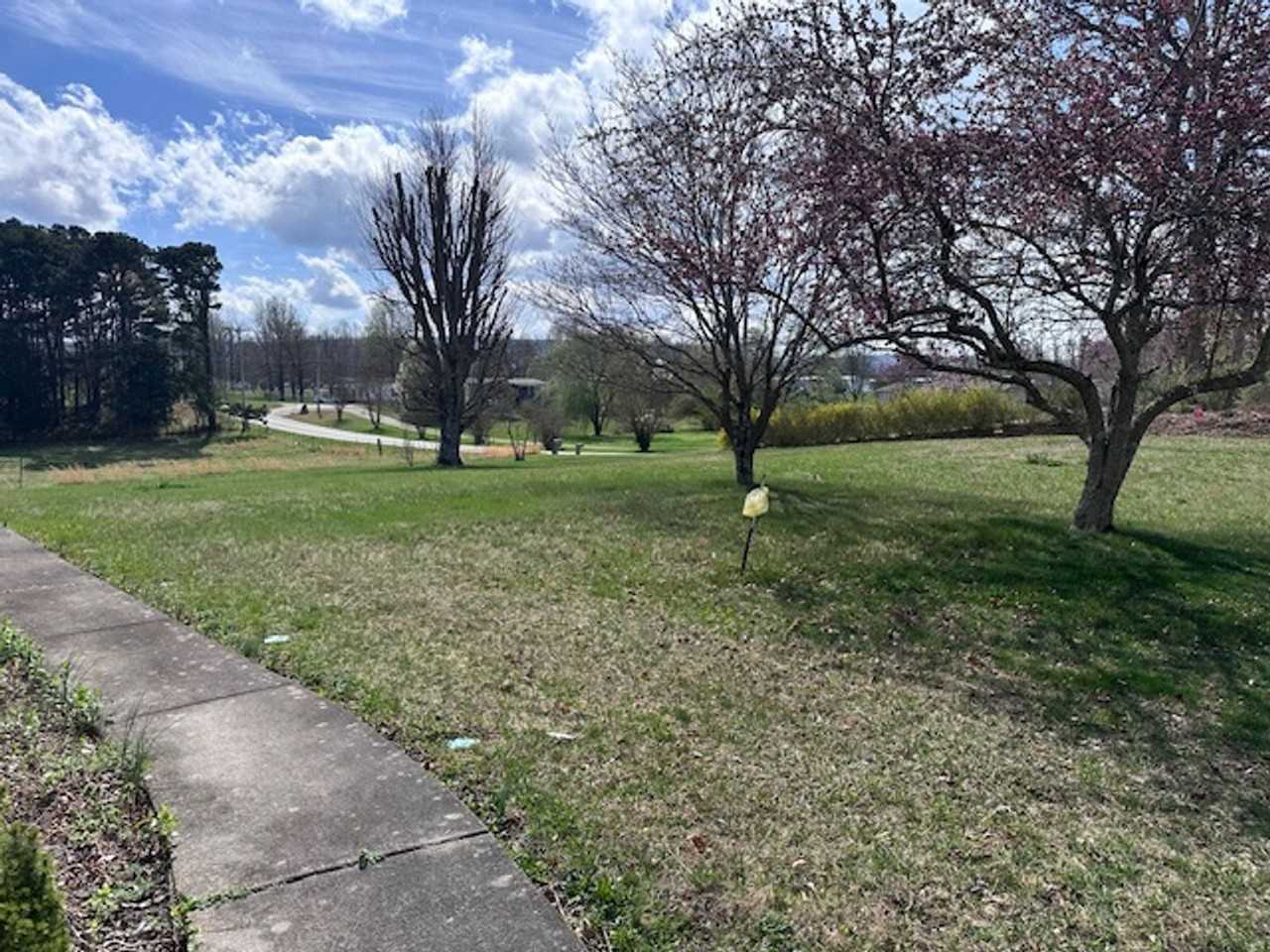 2717 New Blockhouse Rd - Photo 2 of 50