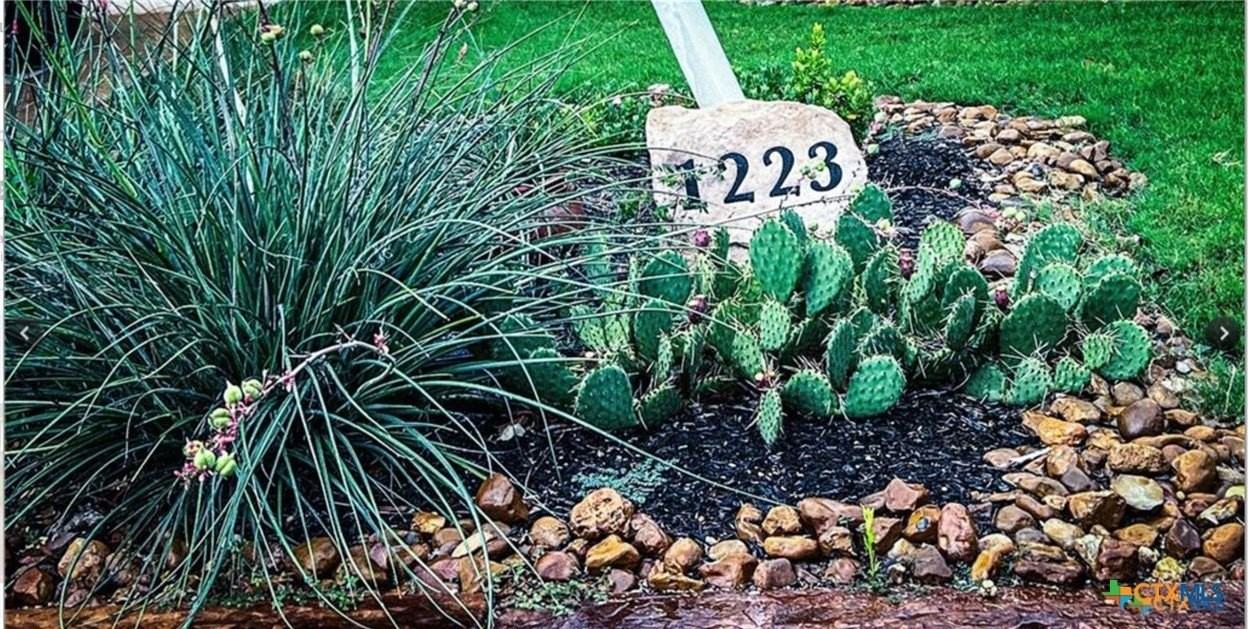 1223 Gruene Vintage - Photo 2 of 32