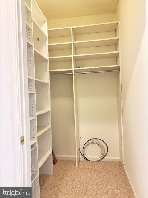 1708 Lake Shore Crest Dr Apt 25 - Photo 5 of 19