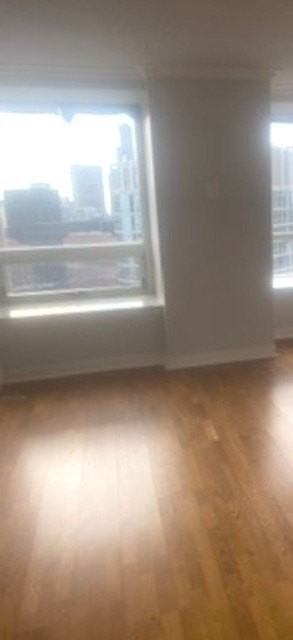 512 N Mcclurg Ct Apt 4608 - Photo 4 of 11