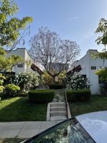 4228 Gateway Ave - Photo 1 of 1