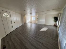 Thunderbird - Photo 1 of 1