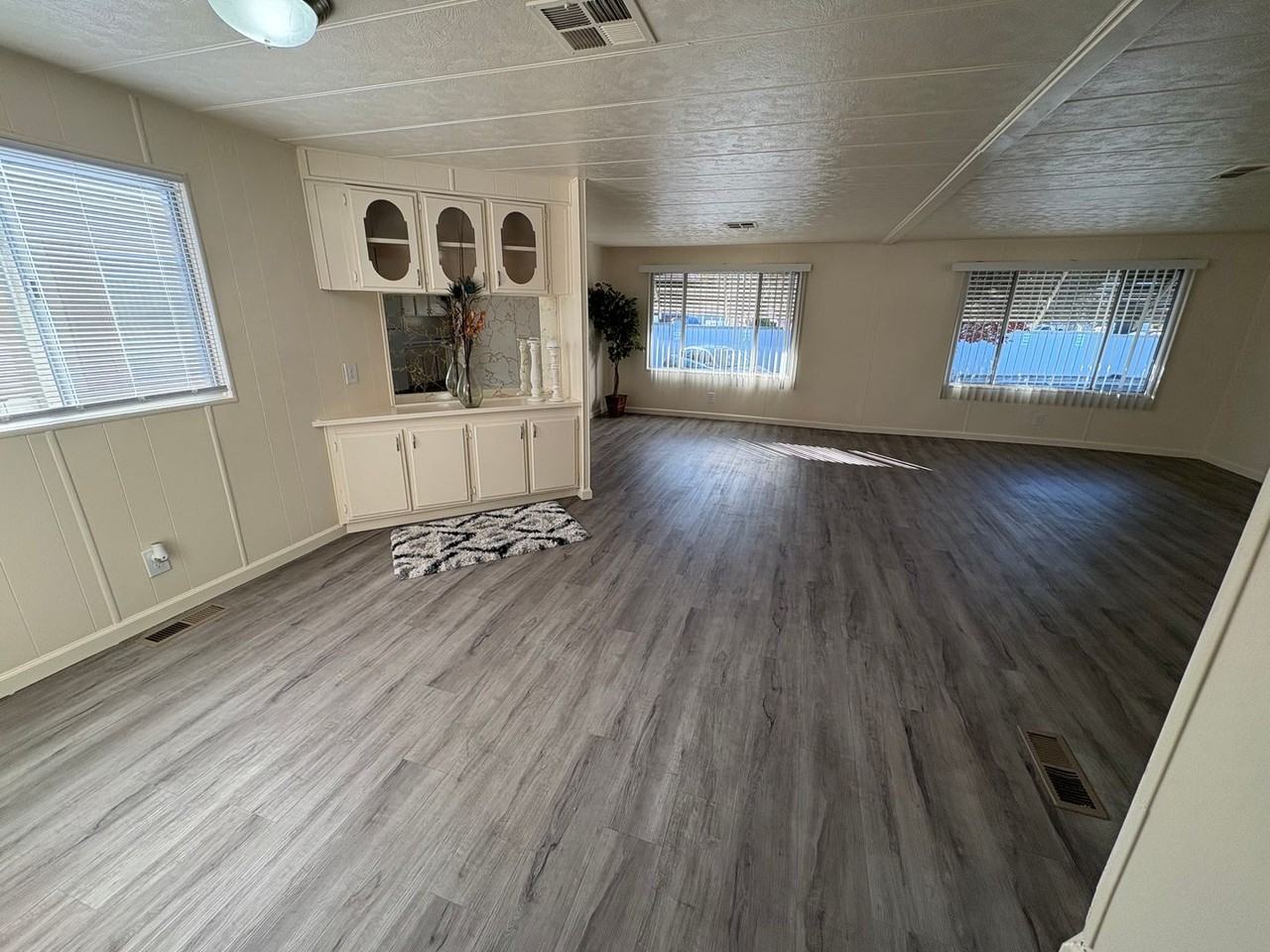 Thunderbird - Photo 2 of 21