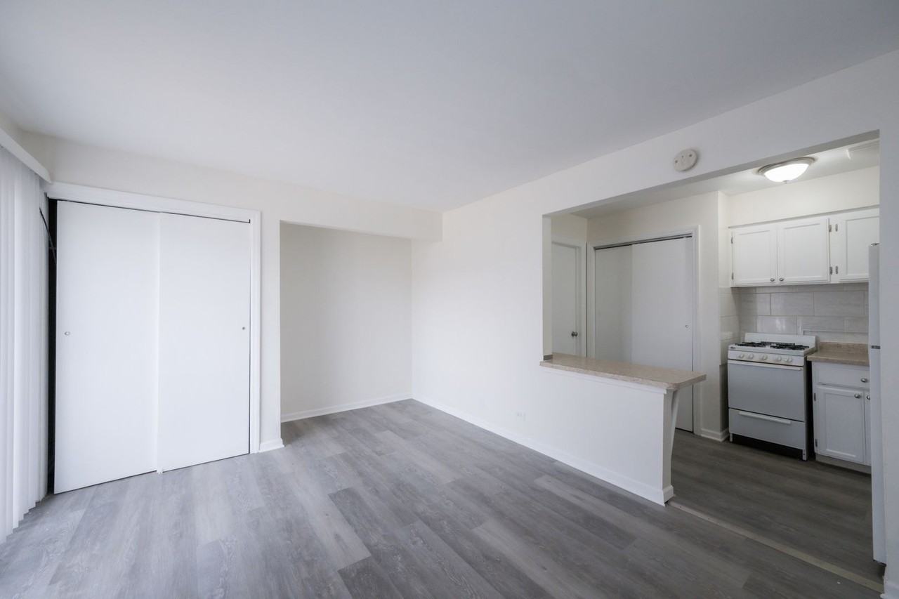 Oak Forest - Photo 4 of 11