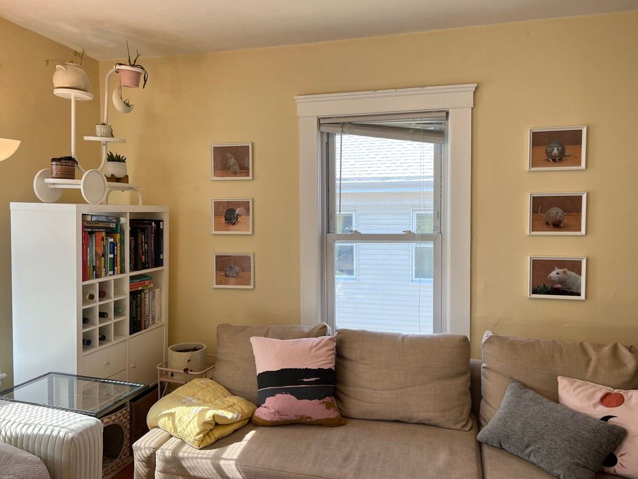 9 Craigie Ter - Photo 6 of 22