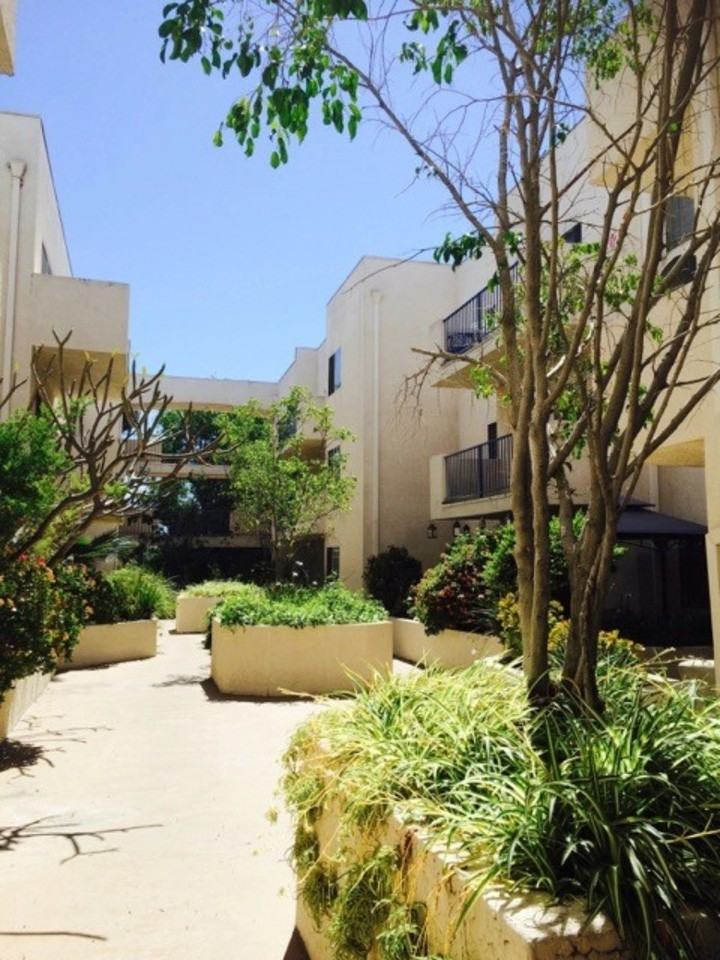 Palm Terrace - Photo 3 of 50