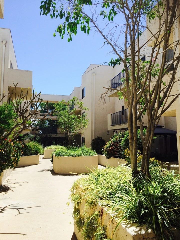 Palm Terrace - Photo 5 of 50