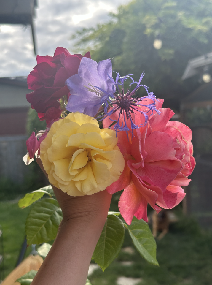 701 S 59th St #NA - Photo 3 of 50