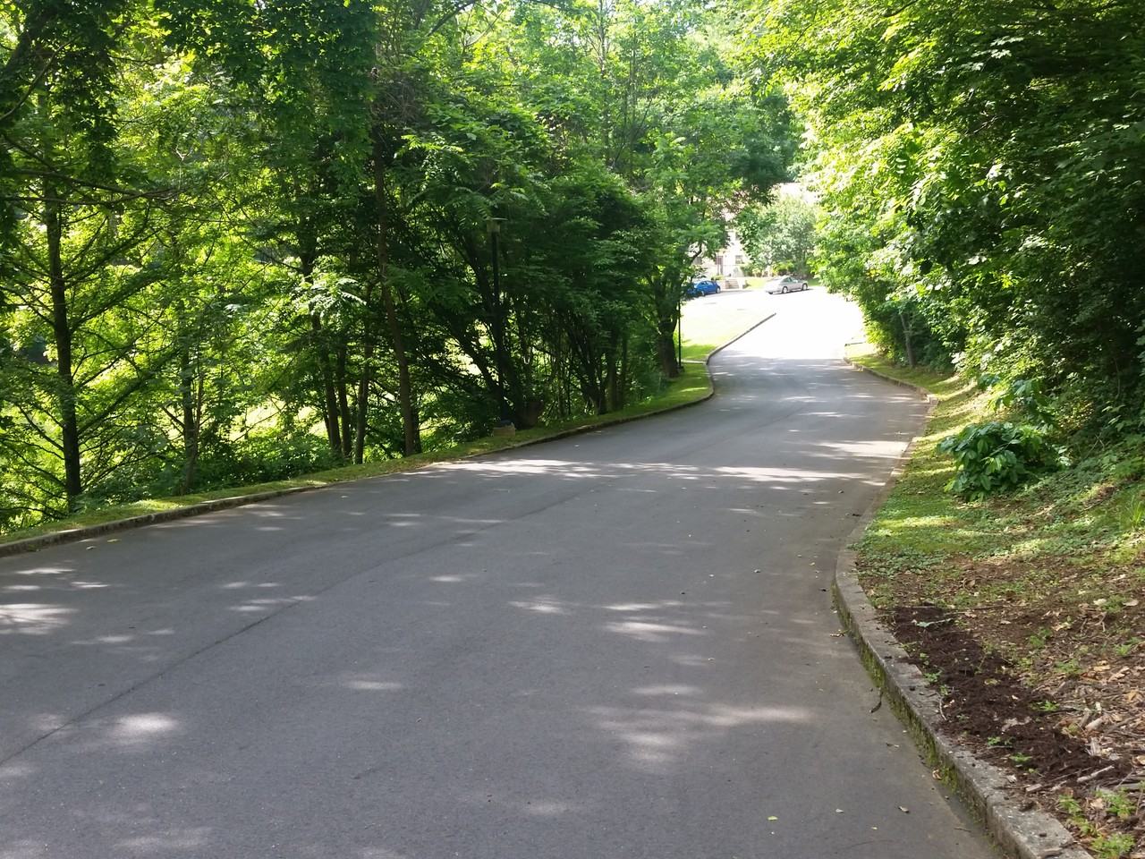 78 Wills Way #4 - Photo 7 of 15