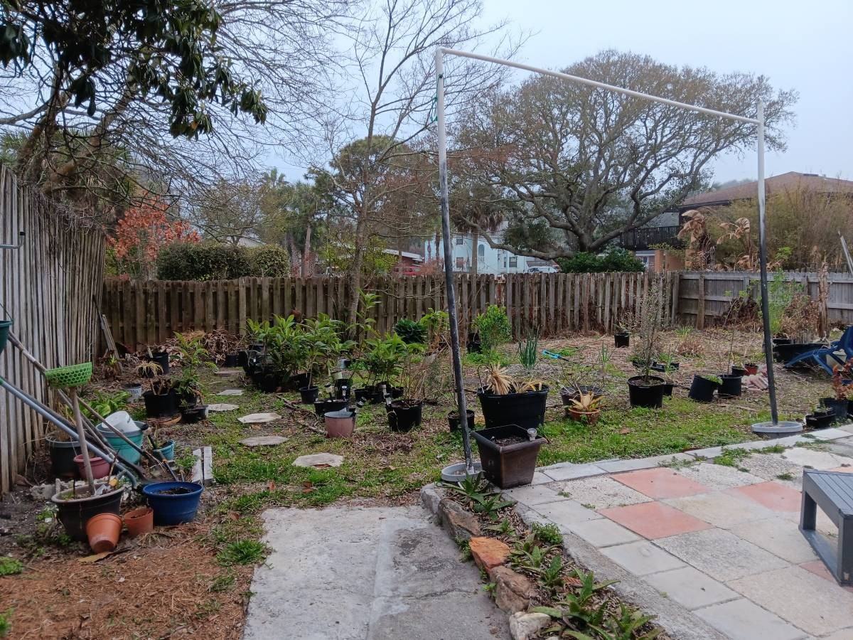 203 C St #NA - Photo 2 of 11