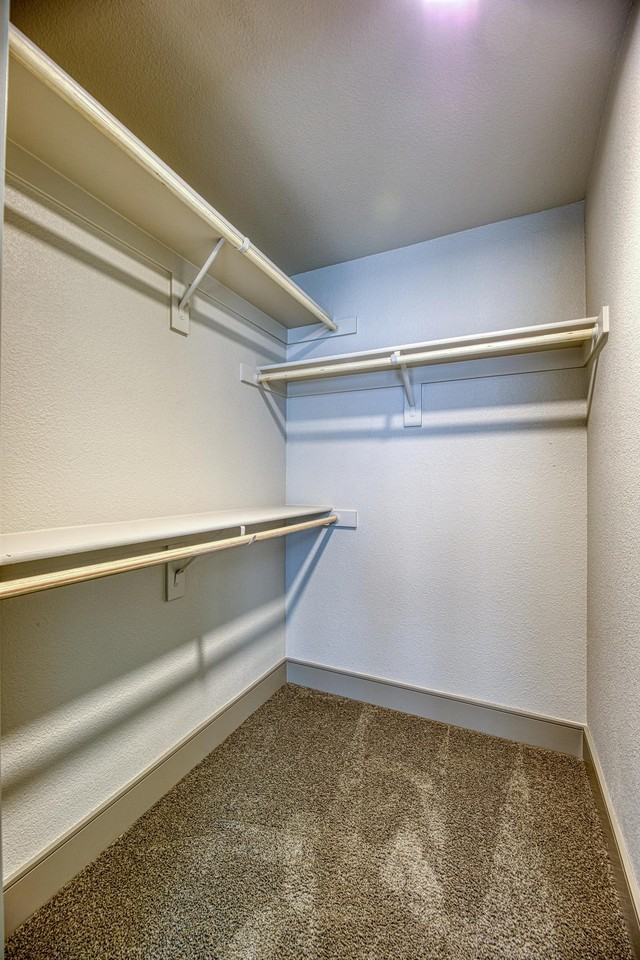 Vespaio - Photo 6 of 44