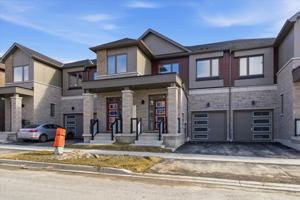 featured image of 3381 Salt Springs Drive