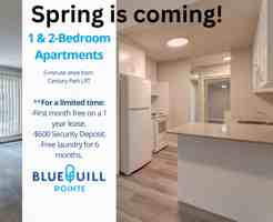 featured image of 11615 28 Ave Nw