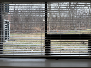 900 James AveUnit 5106 #5106 - Photo 6 of 37