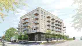 Maple + 41 - Photo 1 of 1