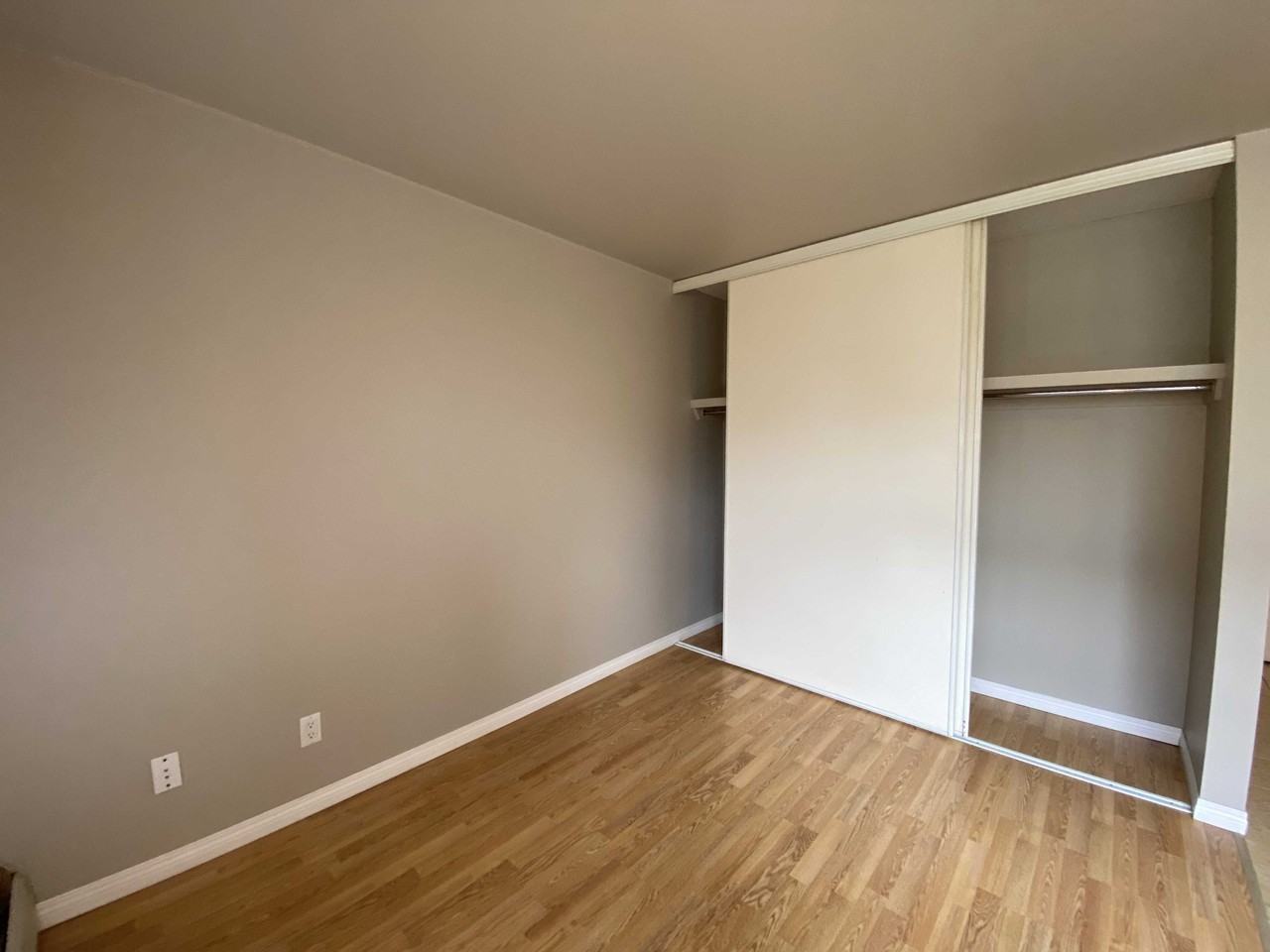 Dorset Arms - Photo 7 of 12