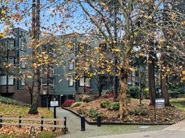 featured image of 10030 137a St