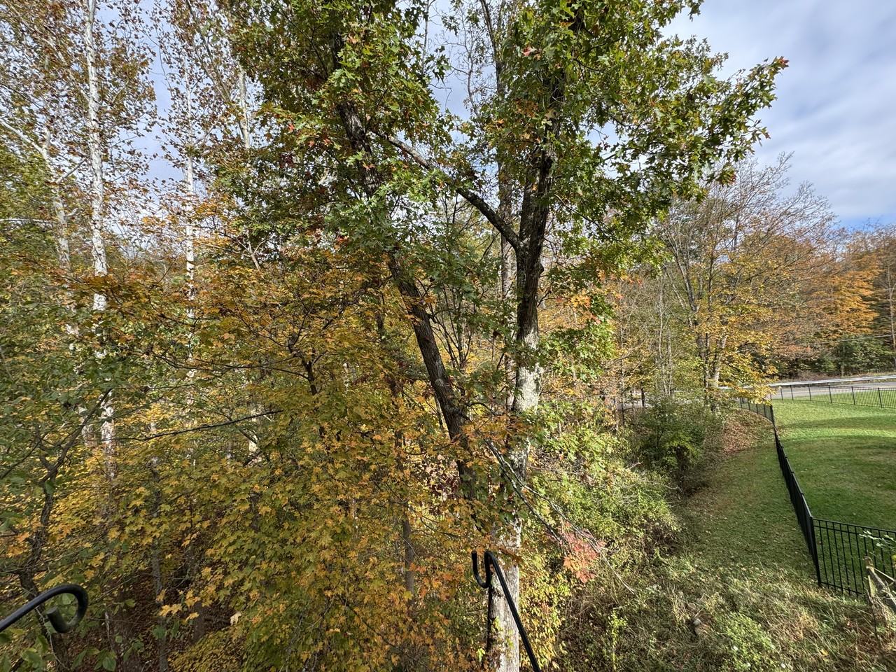 1029 Olivia Way #1 - Photo 6 of 27