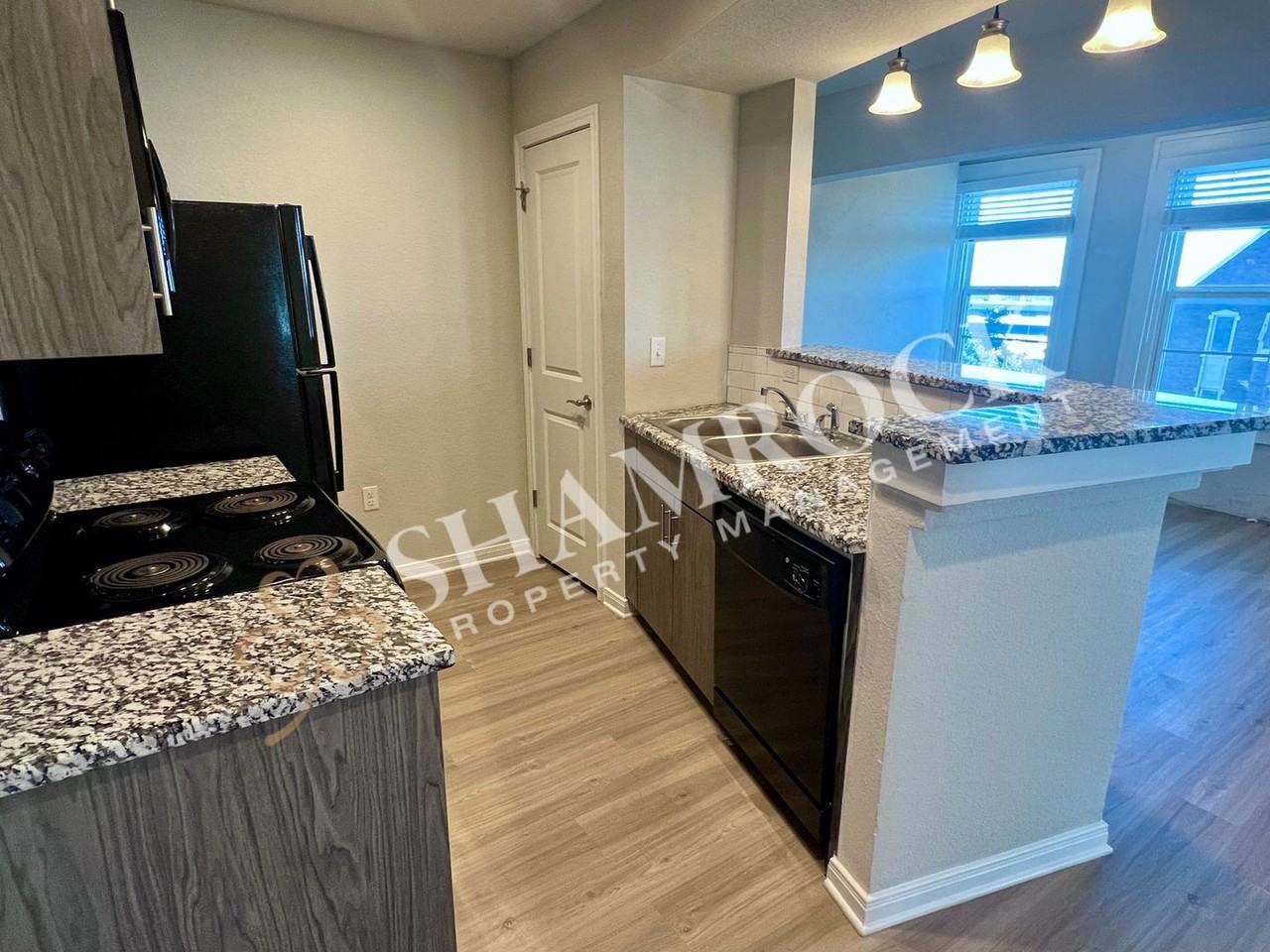 1307 Austin Ave #501 - Photo 5 of 14