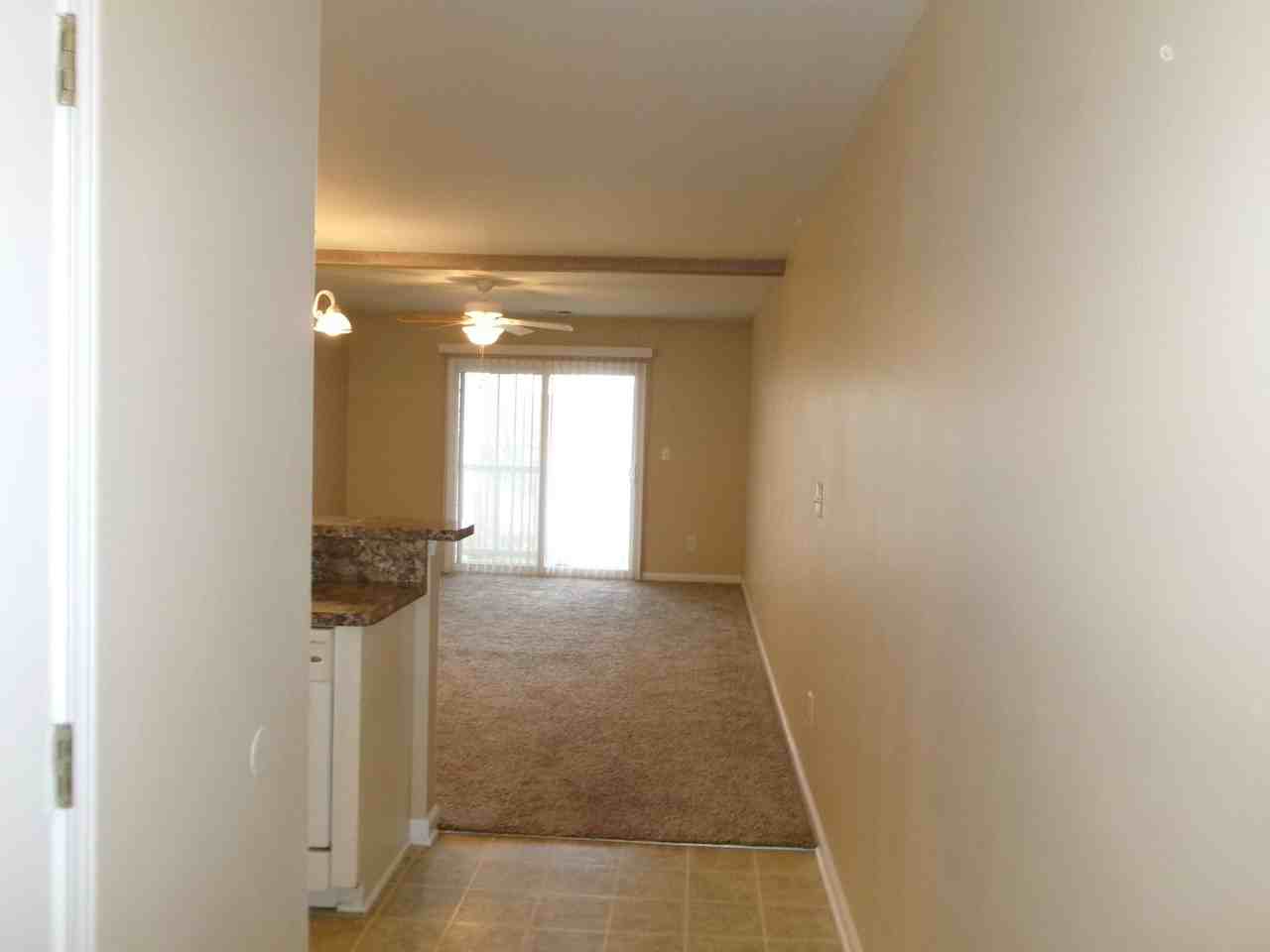 3673 Clay Pond Village Ln #5 - Photo 3 of 27